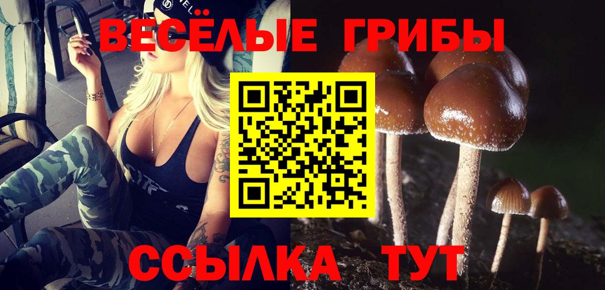 Галлюциногенные грибы Cubensis  Вход с VPN  Звенигород 